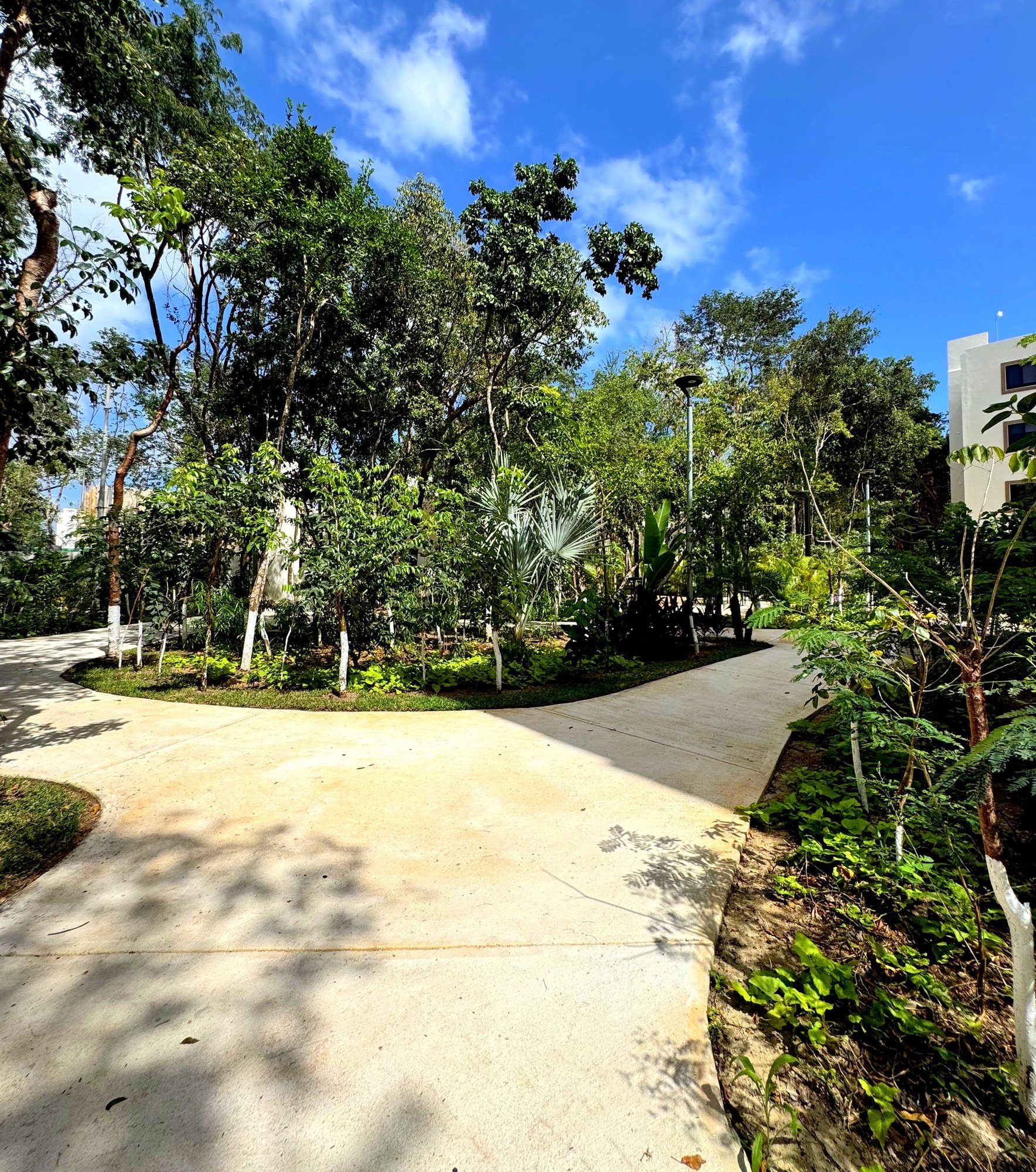 Scenic walking path surrounded by lush greenery at La Selva Residences – Peaceful outdoor space in Playa del Carmen